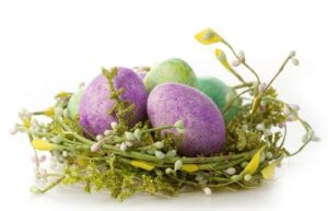 Nest mit farbigen Eiern